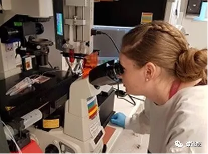 微流控技術(shù)在孕婦血樣檢測領域取得突破