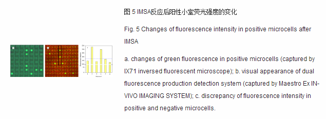 imsa反應后陽性下室熒光強度的變化