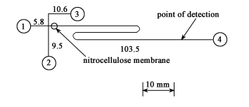非均相衍生反應(yīng)電泳芯片結(jié)構(gòu)