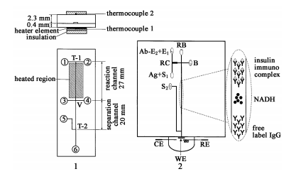 同時集成柱前和柱后反應(yīng)管道的電泳芯片