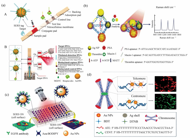 實(shí)驗(yàn)結(jié)構(gòu)示意圖