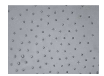 相隔30秒的圖像序列，證明從聚合物液滴中除去溶劑導致聚合物珠粒的形成