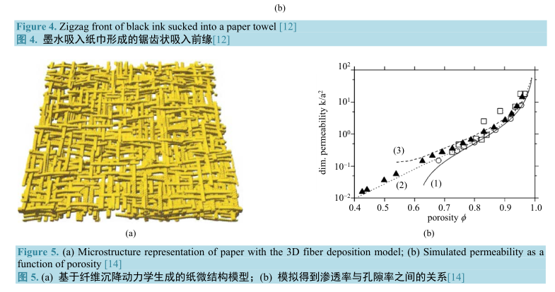 基于纖維沉降動力學生成的紙微結(jié)構(gòu)模型