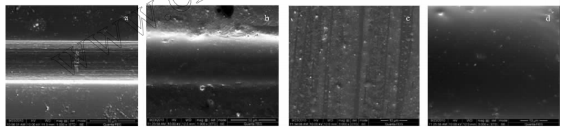 PMMA微流控芯片的SEM圖片