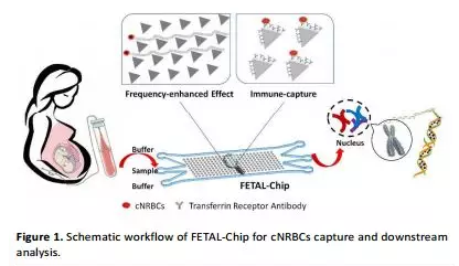孕婦檢測(cè)芯片