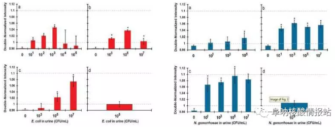圖2. 大腸桿菌（左）和淋球菌（右）的特異性及靈敏性檢測(cè)