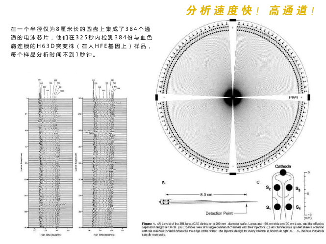 微流控芯片實驗室分析檢測速度快，具有高通道等特性。