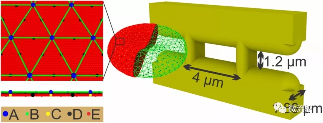微流體系統(tǒng)幫助預測血管易堵塞程度