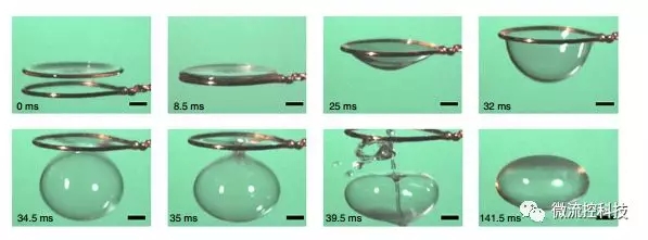 收縮成一個(gè)閉合的氣泡
