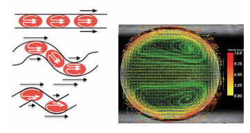 圖3微通道中嵌段流液滴內(nèi)部的渦流矢量圖