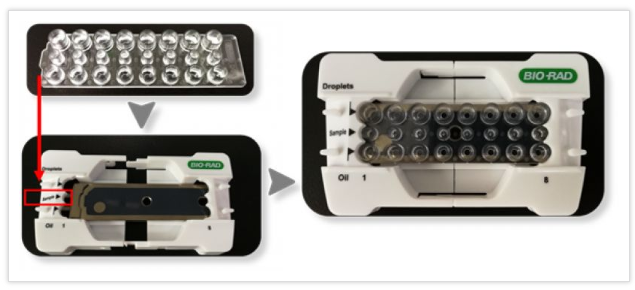 將8孔微滴生成板打開包裝，安裝到支架上，注意微滴生成板的方向與支架上標(biāo)記方向一致