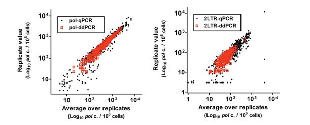 病毒DNA或RNA定量