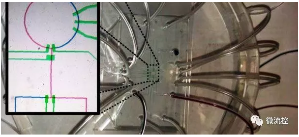 微流體生物芯片可處理微量的流體，經(jīng)常與傳感器和智慧控制演算法等“連網(wǎng)”元素結(jié)合，以提高性能和可靠性，但也因此遭受安全威脅（來源：NYU)