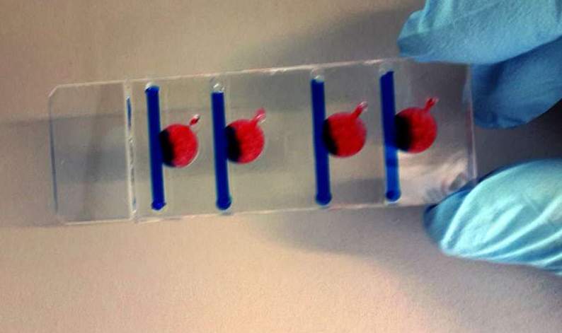 在四個(gè)腔室中的任何一個(gè)腔室中，可以產(chǎn)生影響細(xì)胞生長(zhǎng)的不同條件。圖片來(lái)源：維也納科技大學(xué)