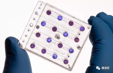 小衛(wèi)星“BioSentinel”攜帶微流控進(jìn)入深太空，開(kāi)展空間輻射研究