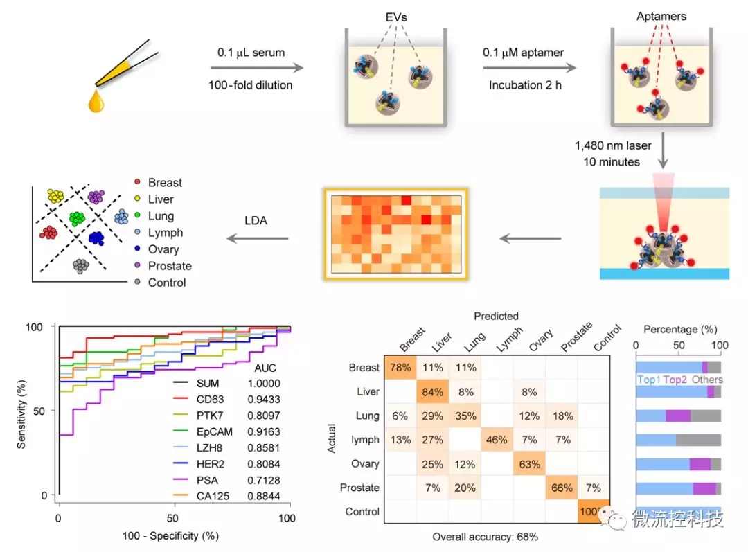 圖：基于腫瘤細(xì)胞外囊泡膜蛋白檢測(cè)的腫瘤液體活檢