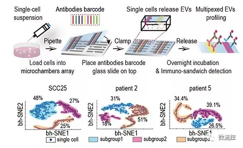 微流控芯片幫助實(shí)現(xiàn)單細(xì)胞外囊泡多指標(biāo)檢測