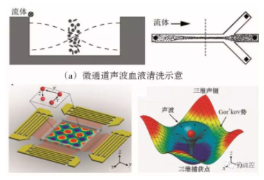 圖7 基于聲波技術(shù)的微流控芯片上的細(xì)胞操控