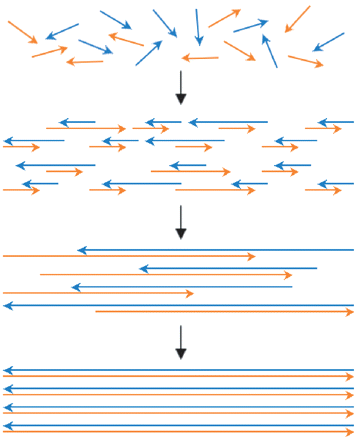 PDMS微流控芯片用于基因合成