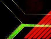 微流控光學(xué)檢測技術(shù)