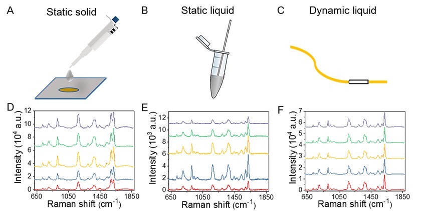 基于軟管微流控的動態(tài)流體SERS平臺用于無標記細胞檢測