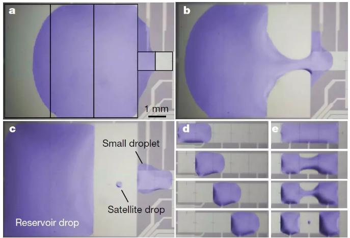 圖三：液滴在MEMS芯片的液流通道中產(chǎn)生、移動(dòng)和融合