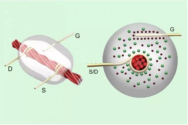 線基晶體管：碳納米管涂覆的亞麻線在源極（S）和漏極（D）金屬線之間攜帶電流，以響應(yīng)柵極（G）檢測(cè)到的電壓。