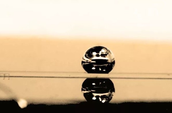 簡化血細胞研究的微型離心機式微流控裝置，解鎖器官芯片新可能