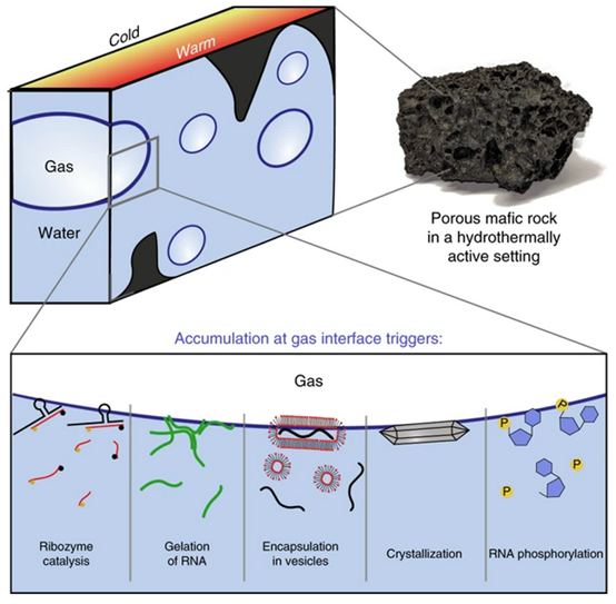研究人員利用3D打印構(gòu)建了模擬火山巖的微流控器件，用于觀察重要的生命分子在液-氣界面的動力學(xué)行為
