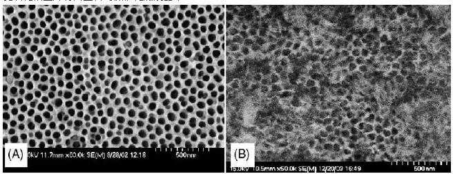 圖2. 陽極氧化微反應器的表面形態(tài)：（A）未水熱處理，（B）水熱處理后