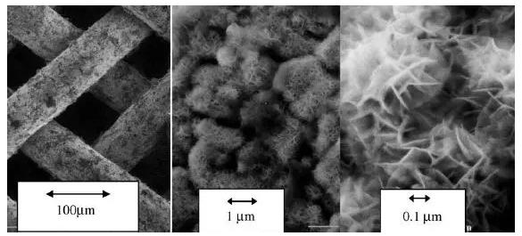 圖8. 具有Raney型外表面的不同放大倍數的鎳柵催化劑的SEM圖像