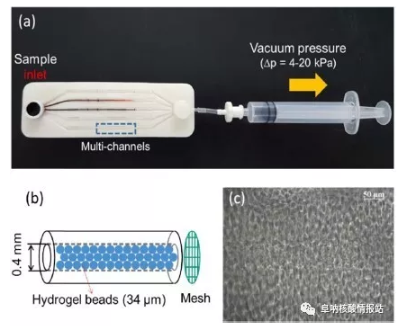 圖1 （a）實驗裝置；（b）微珠填充微通道的示意圖；（c）微珠填充微通道內顯微鏡圖像。