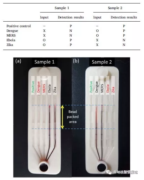 使用微流控芯片進行實際樣品的檢測的結果