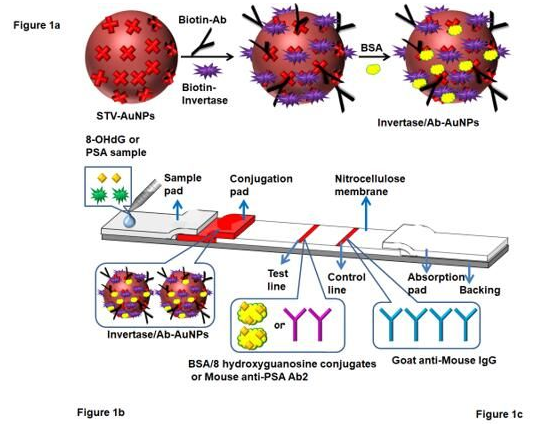 “微流控+智能手機(jī)血糖儀” 打造非血糖分子檢測(cè)平臺(tái)，量化評(píng)估DNA過(guò)氧化損傷