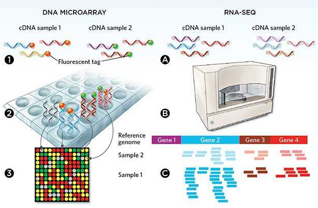 微流控自動化技術(shù)革新RNA-Seq文庫構(gòu)建流程 --- FLUIDIGM發(fā)布更高效、更節(jié)約成本的Advanta RNA-Seq NGS 文庫構(gòu)建解決方案