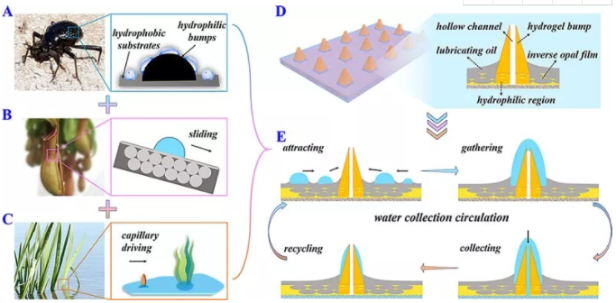 浸潤性微陣列的微流控液滴操縱
