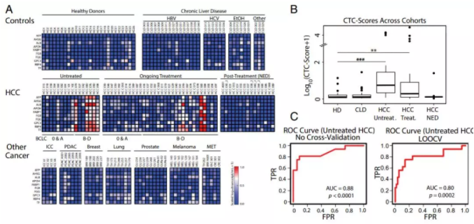 圖2.微流控CTC-iChip系統(tǒng)能夠特異地識別肝癌細(xì)胞。