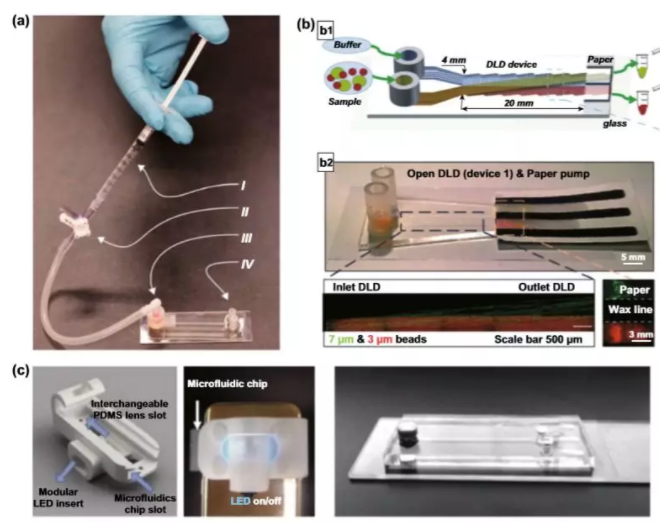 圖5 用于顆粒分離的DLD設(shè)置簡(jiǎn)化。