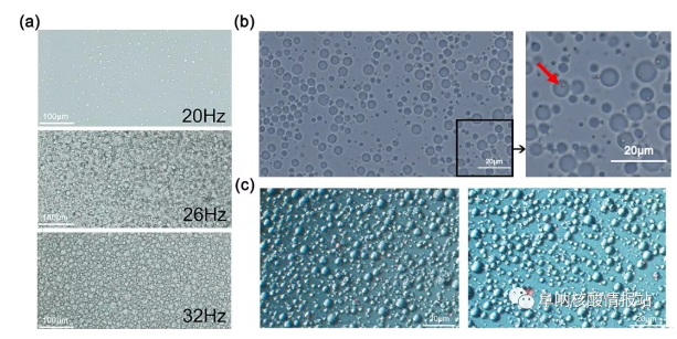 圖3 a) 乳液中液滴的性質。(a)不同振動頻率下乳液的特性；(b)一個乳狀液艙內(nèi)的單顆珠子的照片；(c)乳液熱循環(huán)前(左)和熱循環(huán)后(右)的照片。