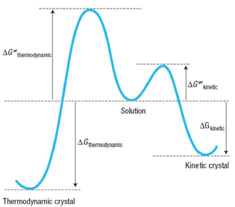 圖3 從溶液到熱力學(xué)和動(dòng)力學(xué)晶體的假設(shè)轉(zhuǎn)變；Δg熱力學(xué)和Δg動(dòng)力學(xué)之間的差異決定了動(dòng)力學(xué)晶體的易形成性