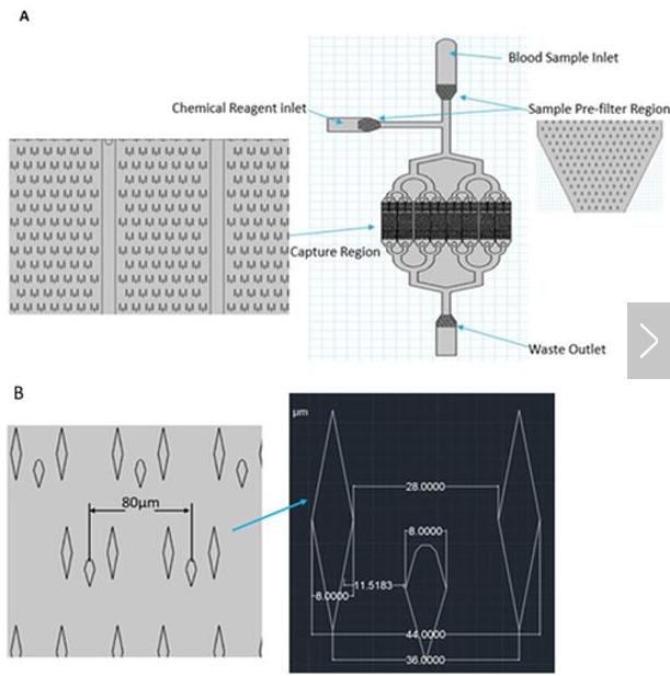 （A）微流控芯片的總體布局；（B）微柱的詳細(xì)尺寸