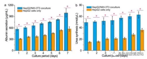圖片6.png 圖5 肝細(xì)胞/成纖維細(xì)胞共培養(yǎng)和肝細(xì)胞培養(yǎng)的肝臟特異性功能的測(cè)定。在七天內(nèi)測(cè)量的HepG2 / NIH-3T3共培養(yǎng)和HepG2培養(yǎng)的a)白蛋白分泌和b）尿素合成。