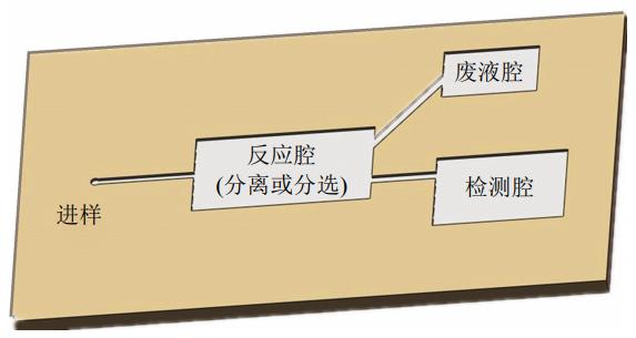 圖1微流控芯片結(jié)構(gòu)示意圖