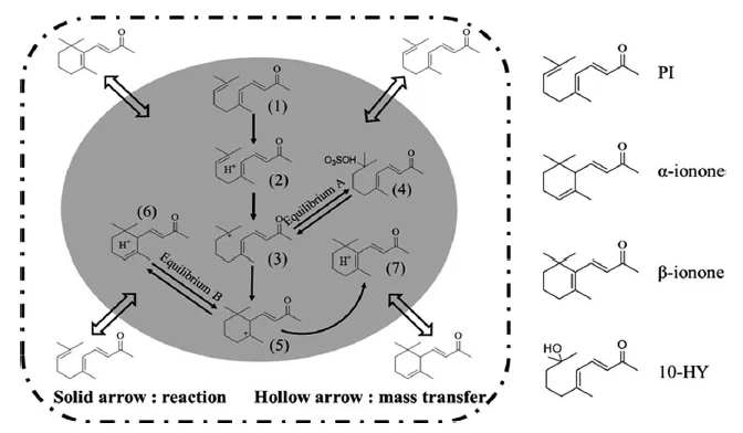 圖1. 兩相系統(tǒng)中PI的環(huán)化