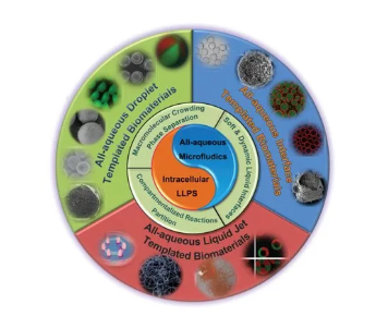 全水微流控細胞仿生技術(shù)要點