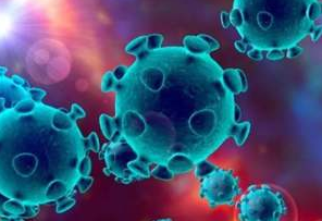 全球首版新冠病毒蛋白質組芯片成功制備