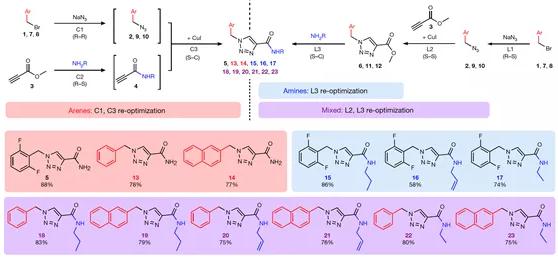 圖 4 利用本方法進(jìn)行盧非酰胺衍生物庫的合成