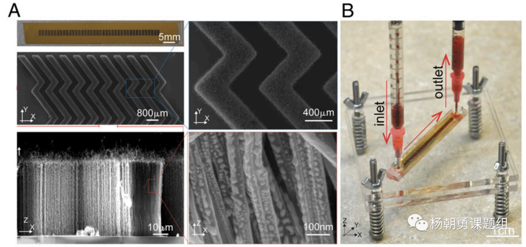圖1 VIRRION平臺(tái)內(nèi)部具有精準(zhǔn)可控的碳納米管陣列結(jié)構(gòu)，用于通過尺寸捕獲樣品中的病毒。毫米級(jí)的芯片通道可以保證在處理樣品時(shí)具有足夠的通量