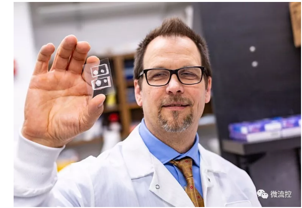 德克薩斯大學(xué)達(dá)拉斯分校的生物工程師與德克薩斯大學(xué)西南醫(yī)學(xué)中心的合作者能夠創(chuàng)建角膜組織模型，并利用它們來研究受損眼睛是如何愈合的。