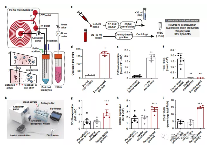 圖1 慣性微流控系統(tǒng)用于分離全血中的白細胞原理圖，及其與密度梯度離心法分離效果的對比